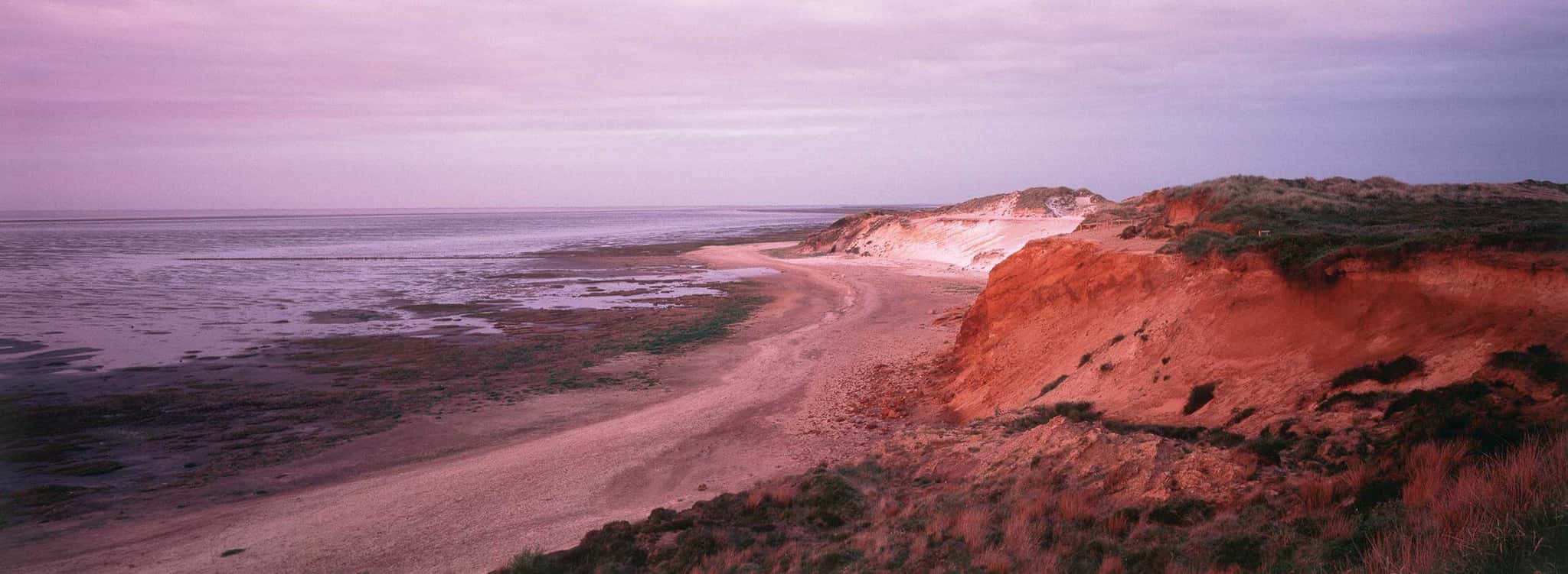 Rötliche Kliffküste mit Sandstrand und Watt im violetten Abendlicht